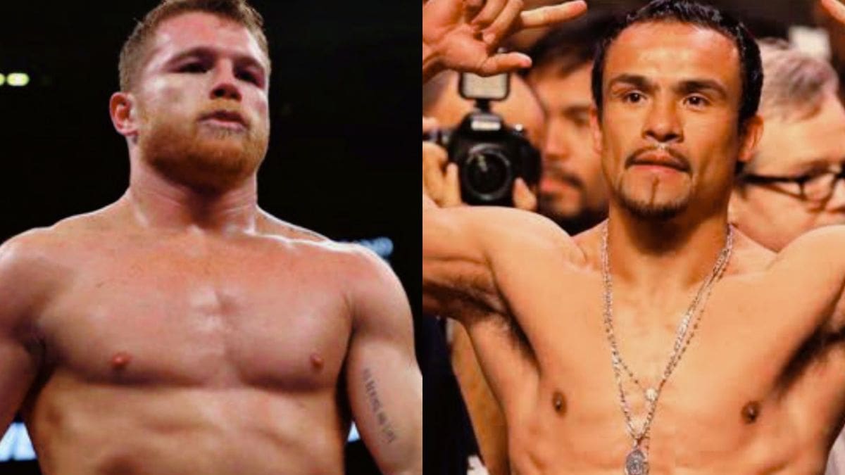 Juan Manuel Márquez tunde Canelo Álvarez y le pone de ejemplo a David Benavidez