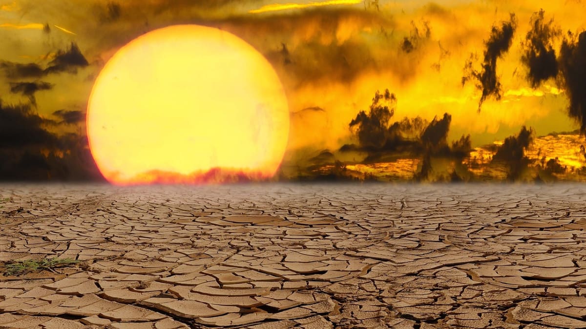 ¿Por qué se llama canícula? Este es el origen del nombre de este fenómeno climatológico