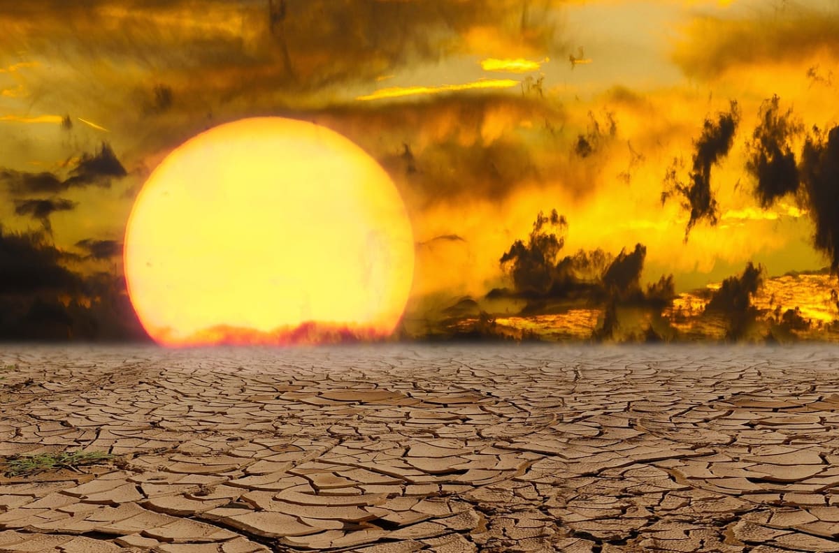 ¿Por qué se llama canícula? Este es el origen del nombre de este fenómeno climatológico