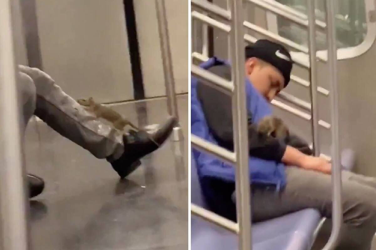 Mientras dormía, una rata se le subió.
