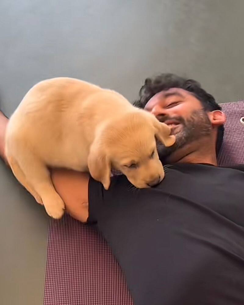 El clip generó tiernos comentarios. Créditos: @puply.io