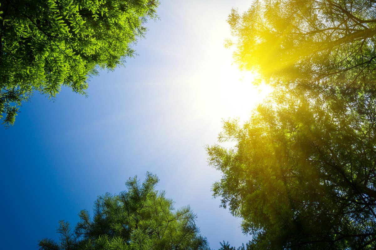 Conoce las condiciones climáticas de este domingo 11 de junio. Créditos: Freepik.