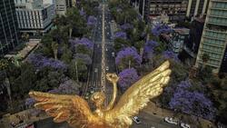 Este es el pronóstico del clima en CDMX este domingo 11 de junio 2023