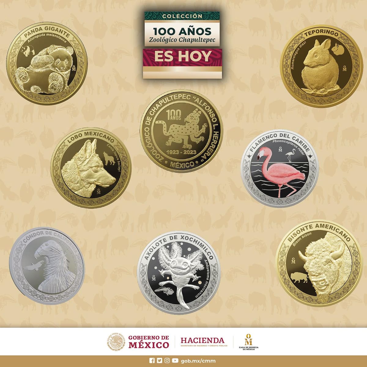 Esta moneda complementará tu colección del ajolotito.