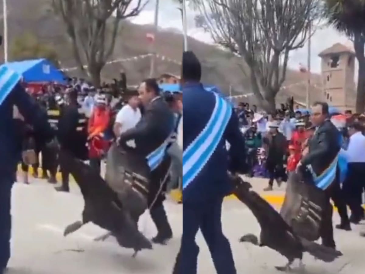 Así llevaban al ave. Créditos: Captura de pantalla