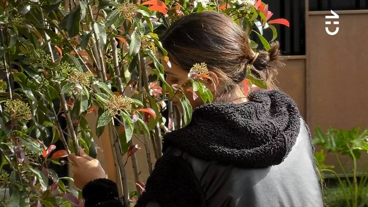 “Ya estoy tirando la toalla”: Constanza Capelli revela su agotamiento mental en “Gran Hermano” Chile