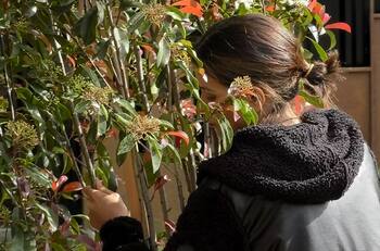 “Ya estoy tirando la toalla”: Constanza Capelli revela su agotamiento mental en “Gran Hermano” Chile