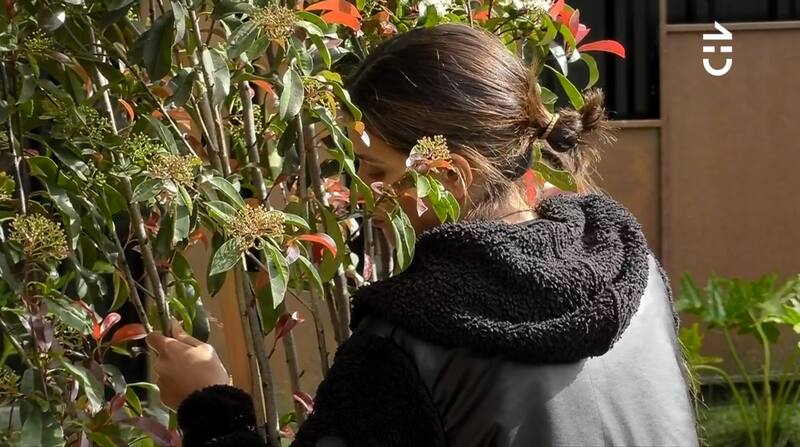 En una sesión de “terapia del árbol” de La Pincoya, Constanza Capelli se sinceró y contó más detalles del deplorable estado mental que está viviendo.