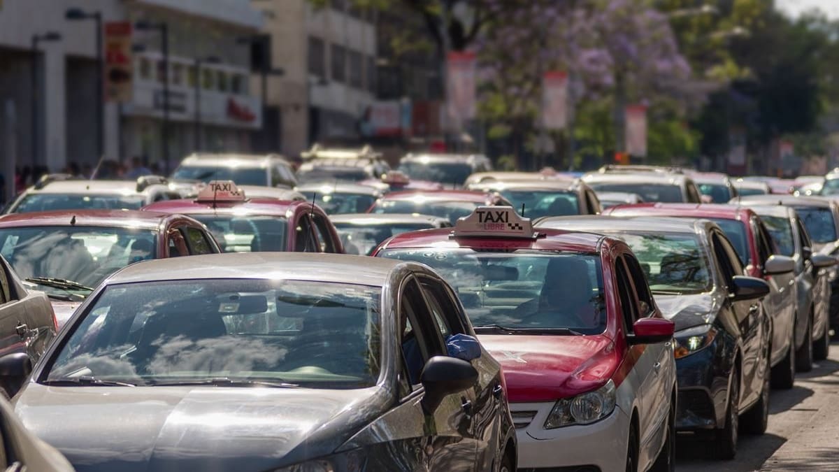 Suspenden contingencia ambiental: ¿Qué autos sí circulan este 25 de febrero en CDMX?