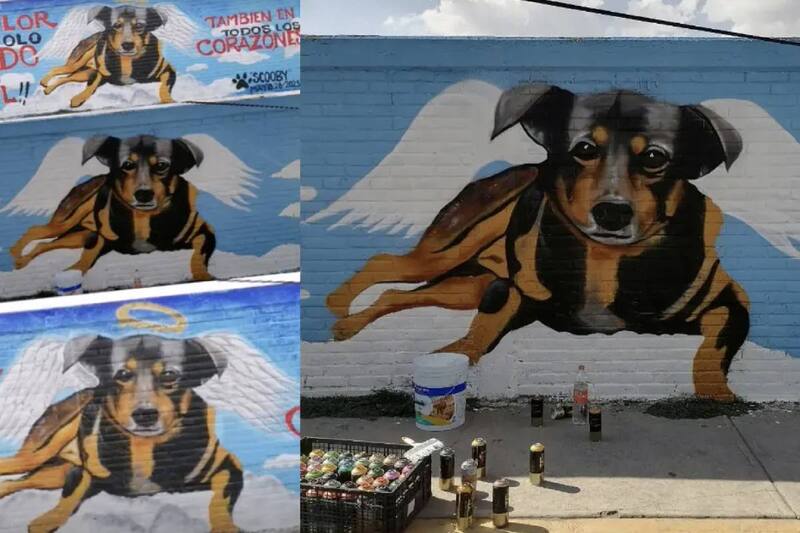 El perrito murió por haber sido aventado a un cazo de aceite hirviendo