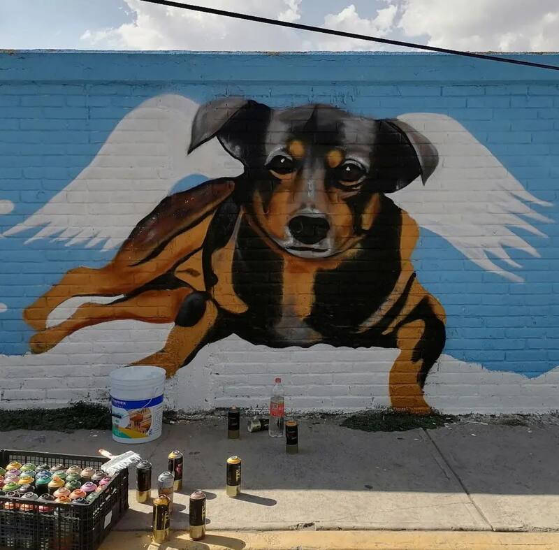 El perrito murió tras haber sido lanzado a un cazo de aceite hirviendo