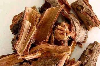 La planta medicinal mexicana que ayuda a prevenir el cáncer