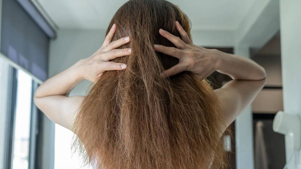 Estos ingredientes de cocina te ayudarán a tener un cabello impecable (Foto: Freepik)