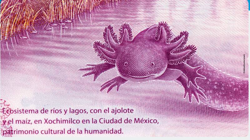 La serie AA de este billete es una muy rara edición