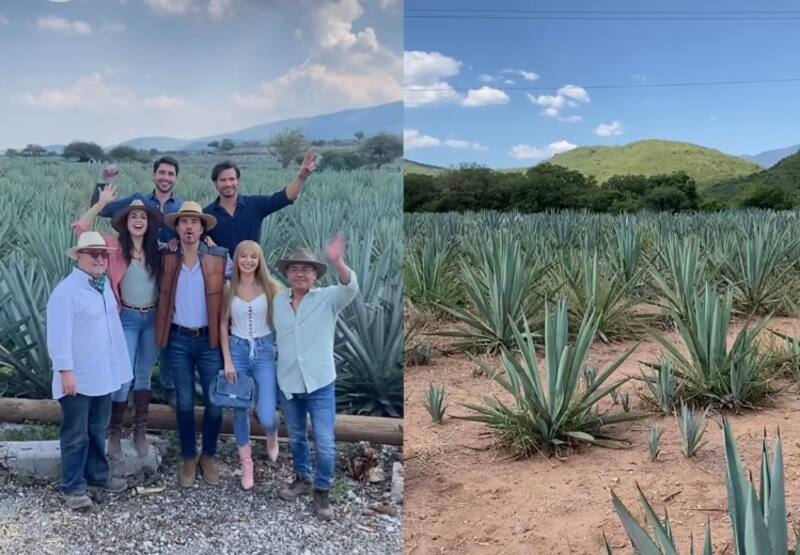 Elenco de la telenovela Nadie como tú