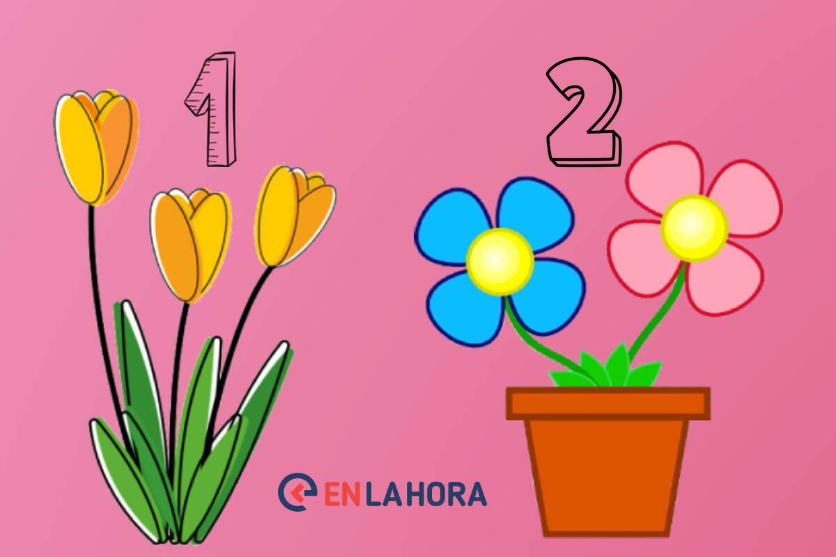 Escoge las flores que más llamen tu atención o las que más te gusten