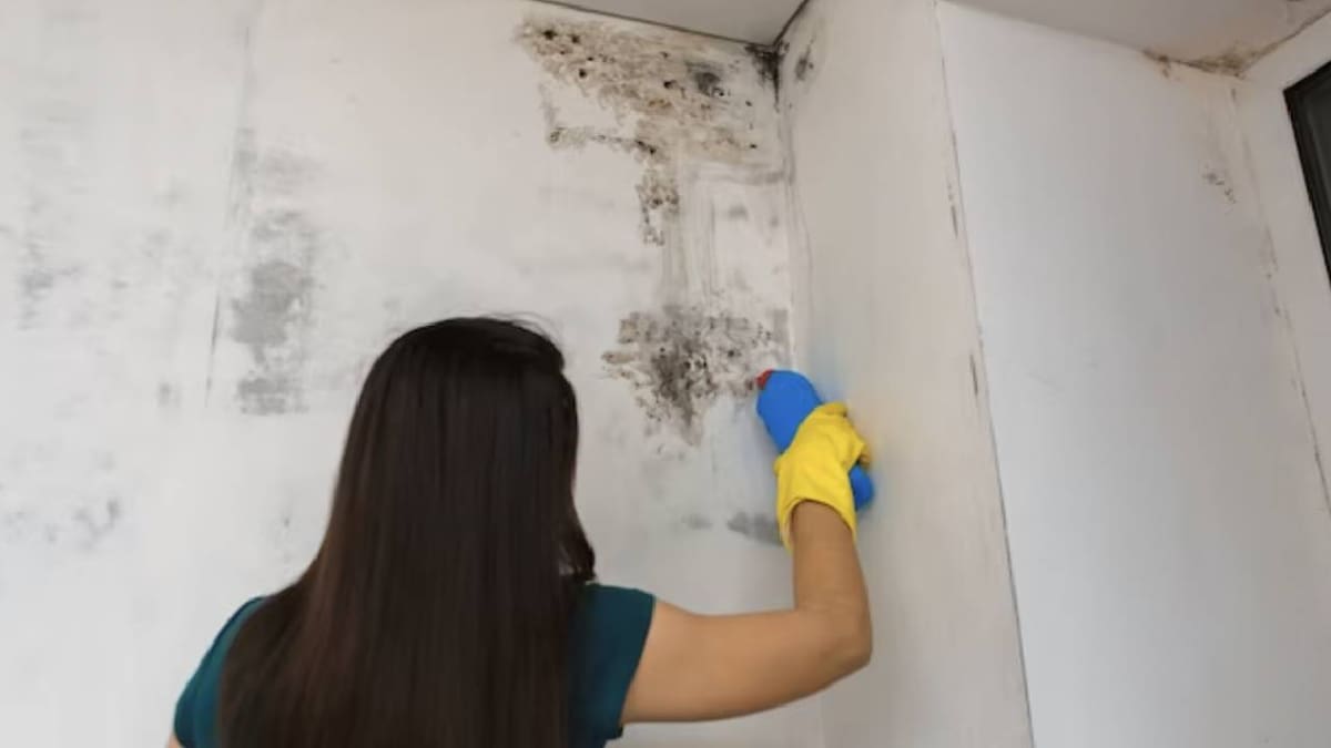 El truco para eliminar la humedad de tu hogar