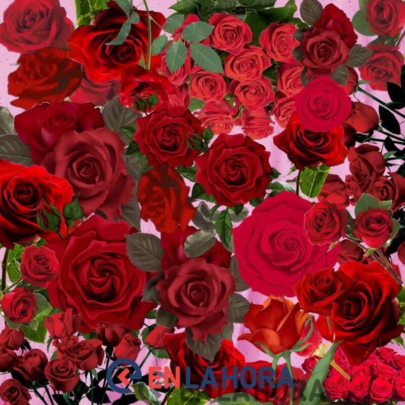 Demuestra si tienes desarrolladas tus habilidades visuales para resolver esta prueba en el menor tiempo posible