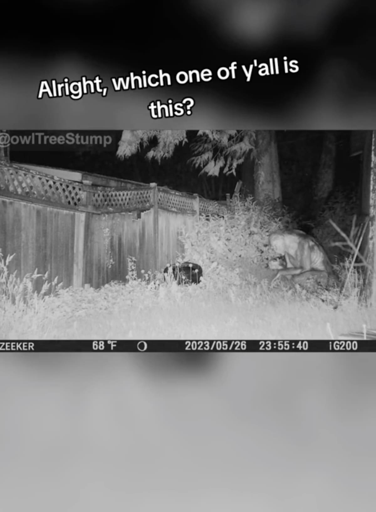 El video resultó ser falso.