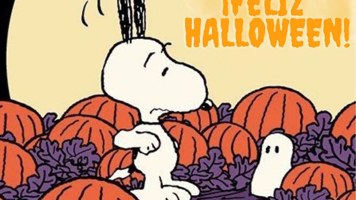Halloween: Las mejores frases e imágenes para enviar a tus contactos por WhatsApp