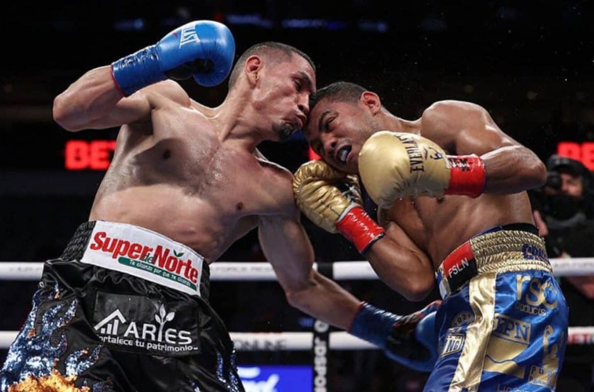 El nuevo desprecio del ‘Gallo’ Estrada al ‘Chocolatito’ González