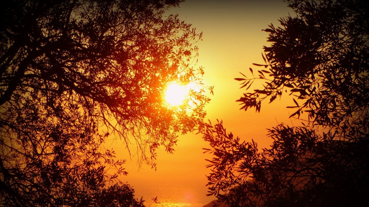 Ola de calor: Sigue estas recomendaciones para evitar problemas de salud ante altísimas temperaturas