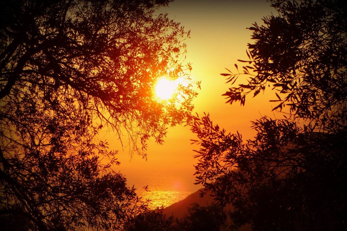 La temperaturas en México alcanzarán temperaturas máximas de 45 grados, prevén un posble golpe de calor.