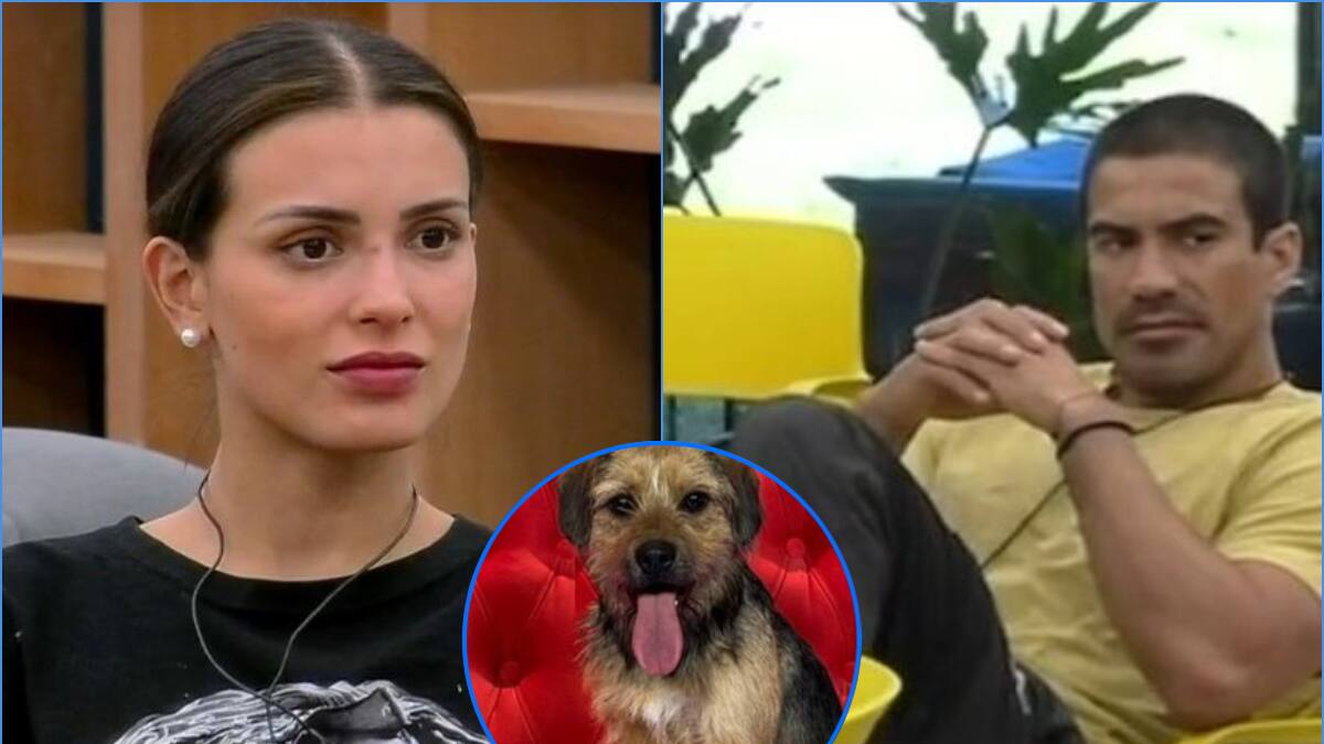 “Hay gente que no tiene paciencia”: Constanza Capelli acusó que Sebastián Ramírez le pegó patadas a Bigote en “Gran Hermano” Chile