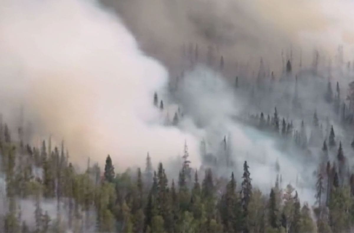 VIDEO | Incendios en Canadá ya consumieron casi diez millones de hectáreas