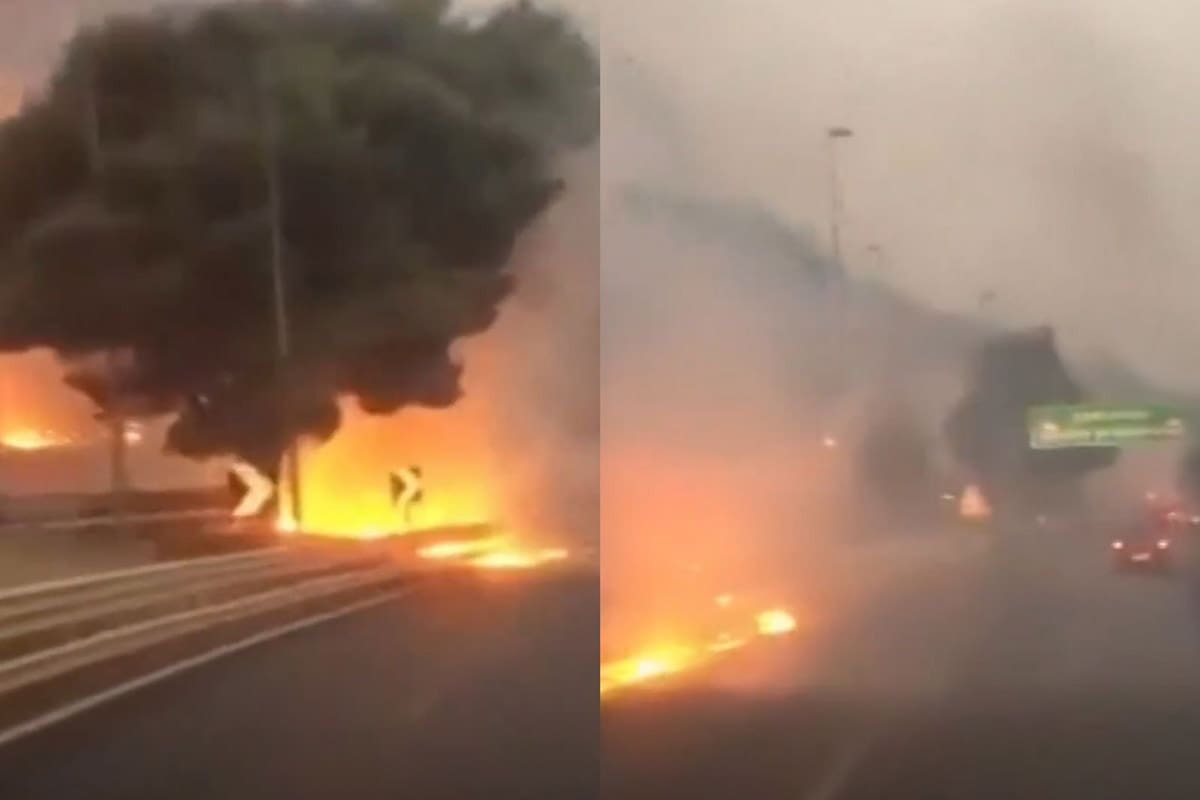 Palermo es una de las zonas más afectadas. Captura Video
