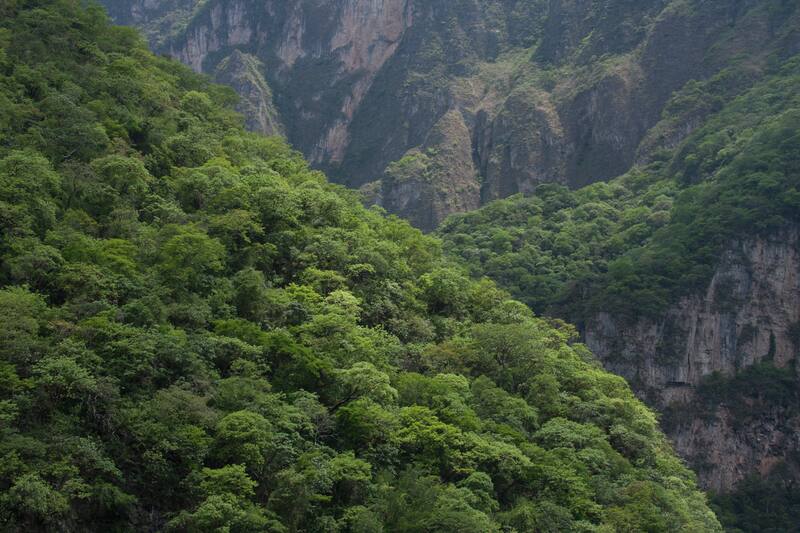 En México se reportan a diario más de 50 incendios en todo el país.