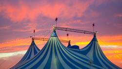 Aniversario del Circo Callejero por Injuve