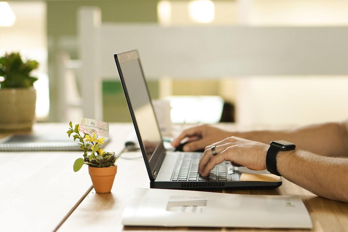 Revisa cómo subir historias y publicaciones desde tu PC. Créditos: Pixabay.