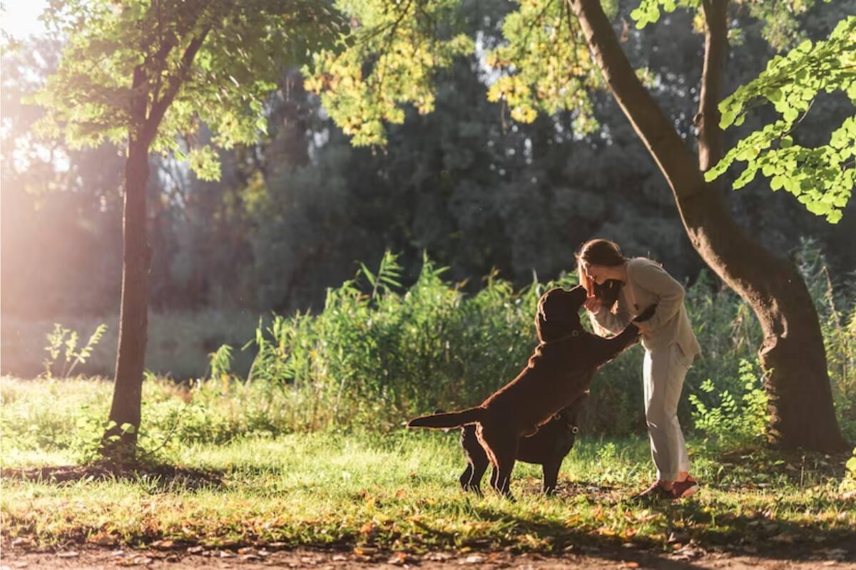 ¿Por qué soñamos con perros? ¿Qué tan fuerte es el simbolismo de su lealtad en los sueños?