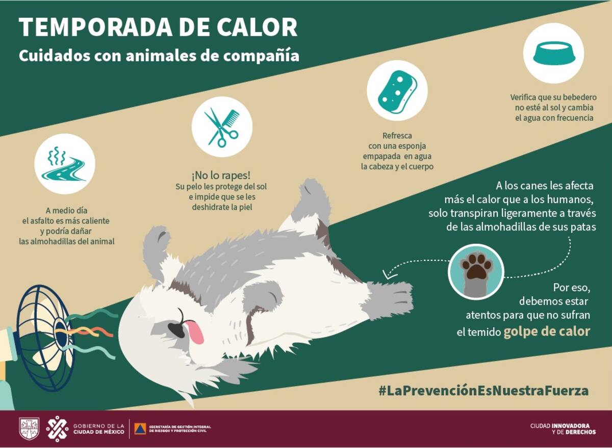 La tercera ola de calor prevé temperaturas mayores a los 35 grados Celsius.