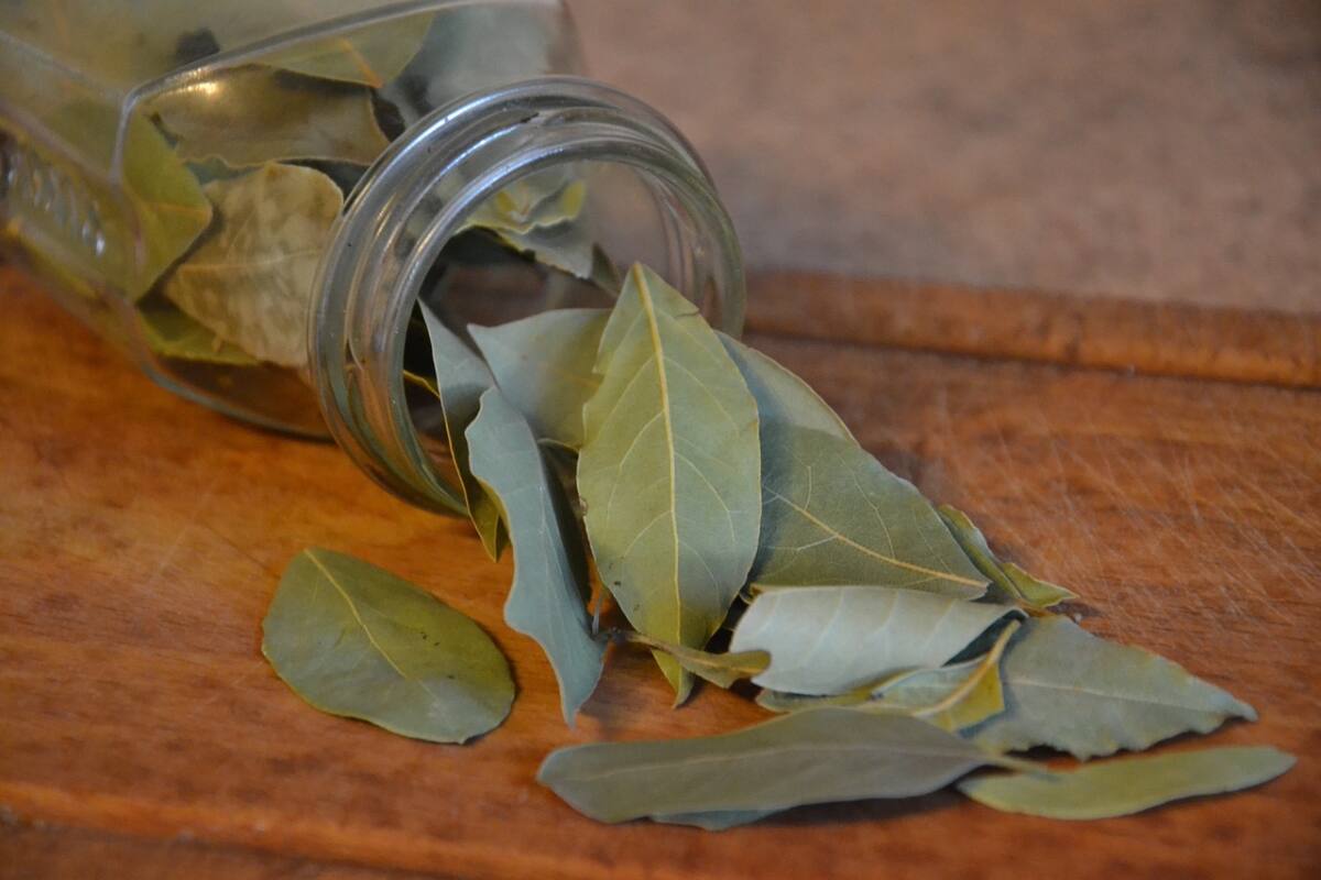 A esta hoja se le atribuyen muchas propiedades medicinales.