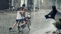 Tomar agua de lluvia podría ocasionar graves riesgos en la salud