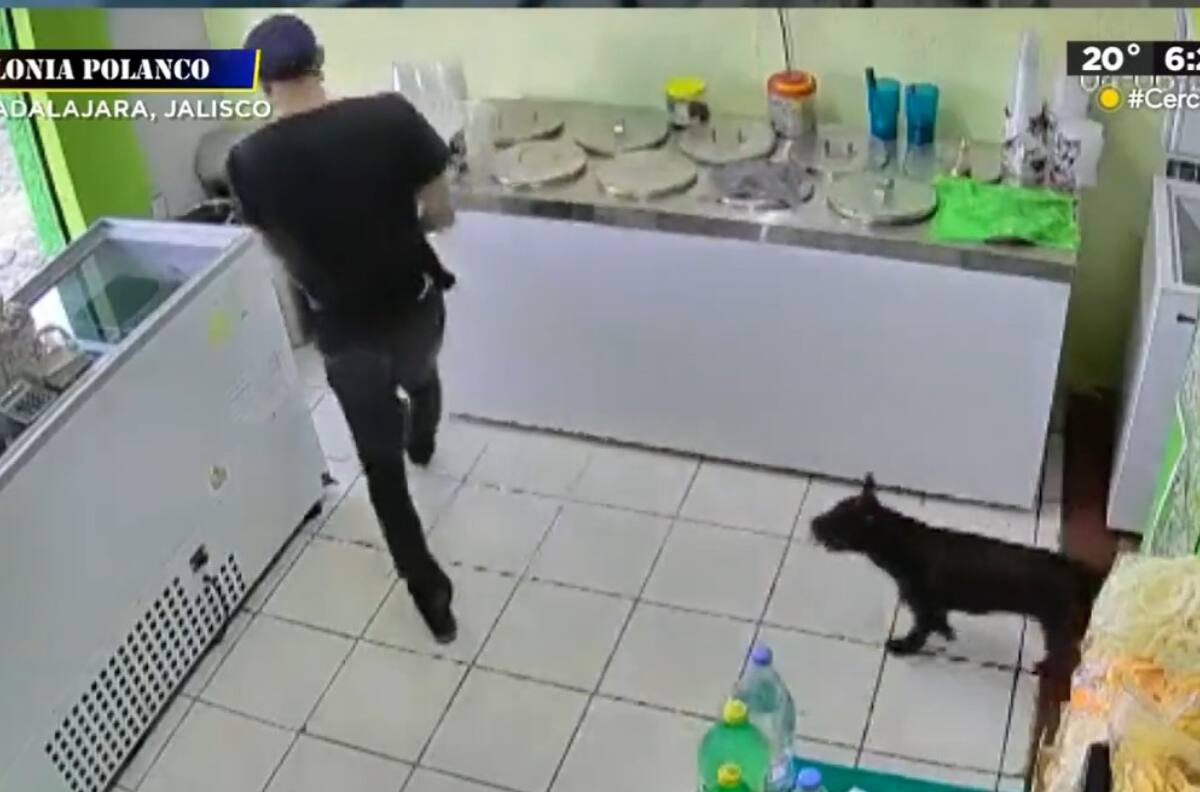 VIDEO | Lomito cómplice: Captan a un hombre y a su perrito asaltar dentro de una tienda