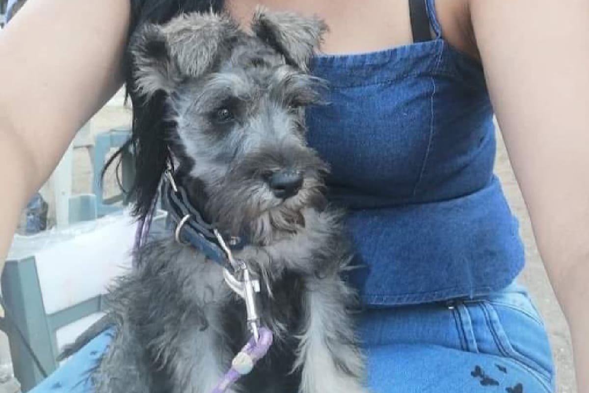 Maltrato animal en Cuautitlán, Estado de México.
