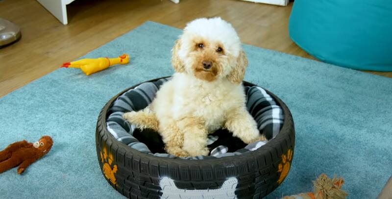 Los neuméticos viejos y usados pueden tener una segunda vida | Foto: Youtube Tipo Listo