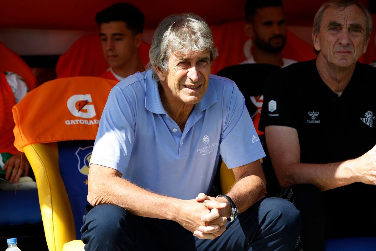 Manuel Pellegrini