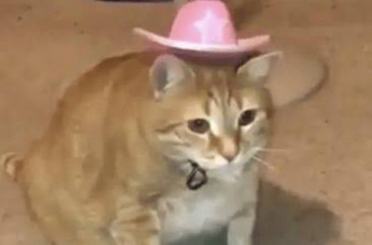Surgen memes del ‘Ratón Vaquero’ por el Día de las madres