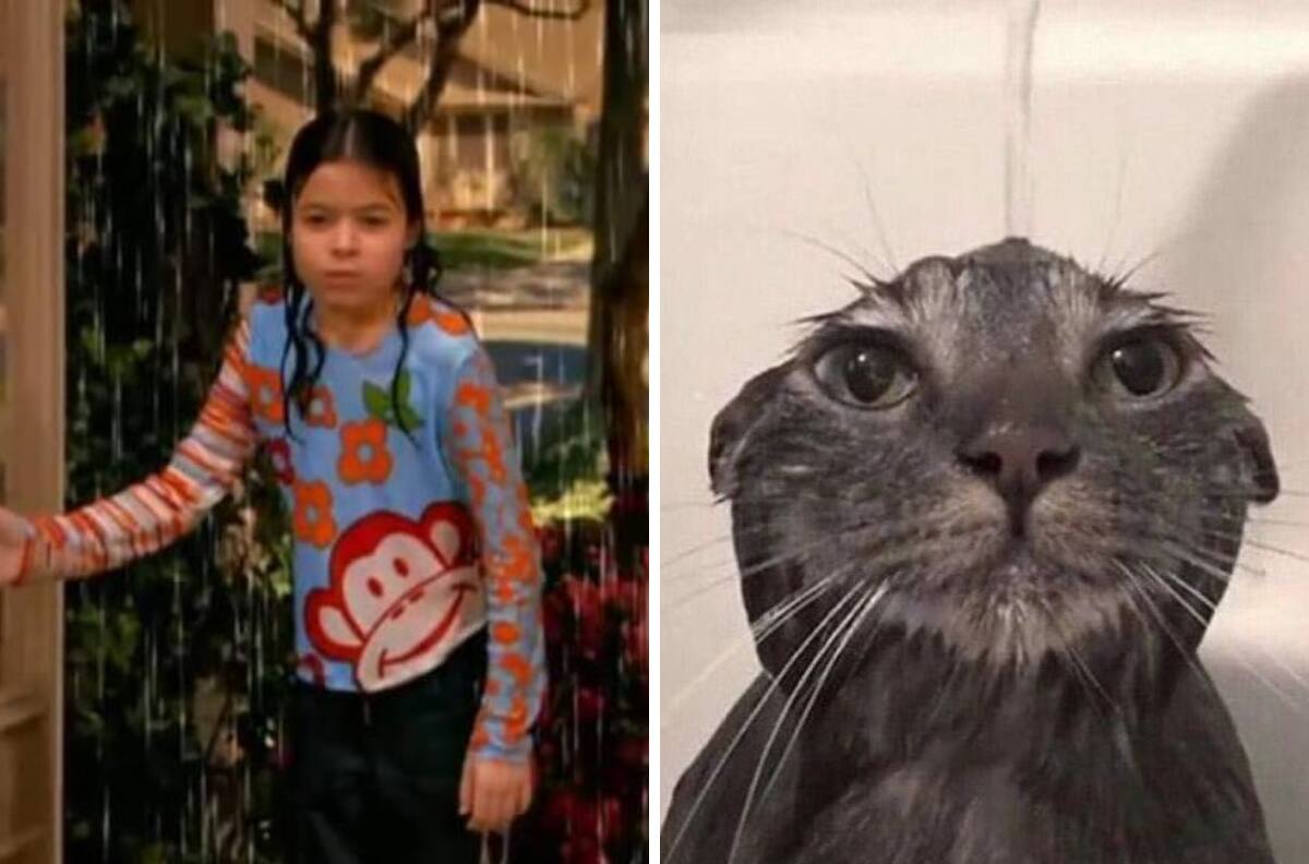 Usuarios reaccionan con memes por la fuerte lluvia antes del concierto de Billie Eilish