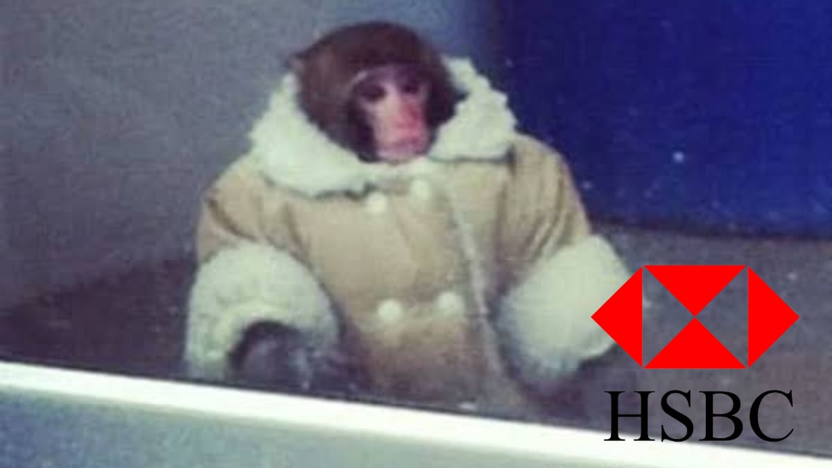 Preventa para Arctic Monkeys en CDMX será con HSBC y usuarios en redes reaccionan