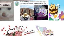Estos son los mejores memes de la primavera