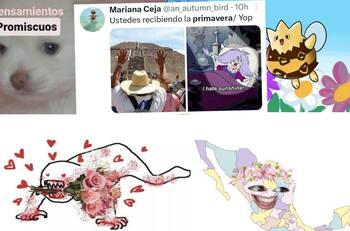 Estos son los mejores memes de la primavera