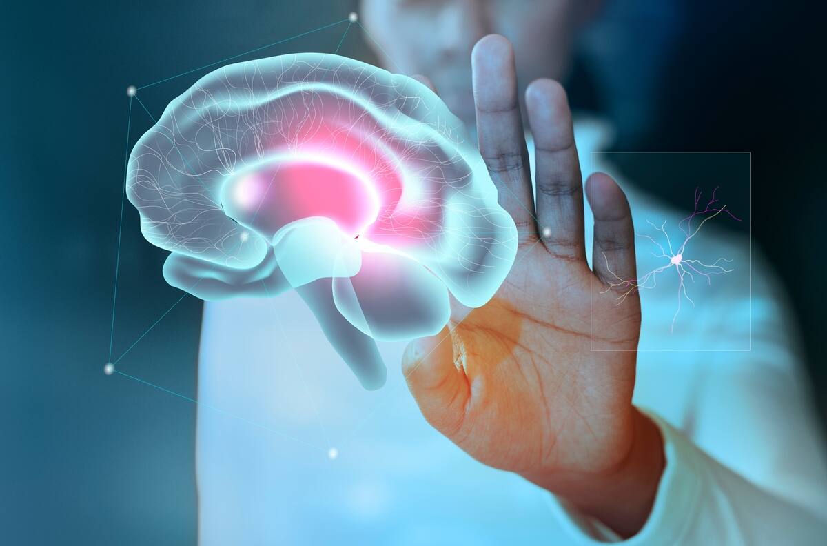 MIT y Harvard: Científicos crean nuevo método para poder recordar cosas importantes