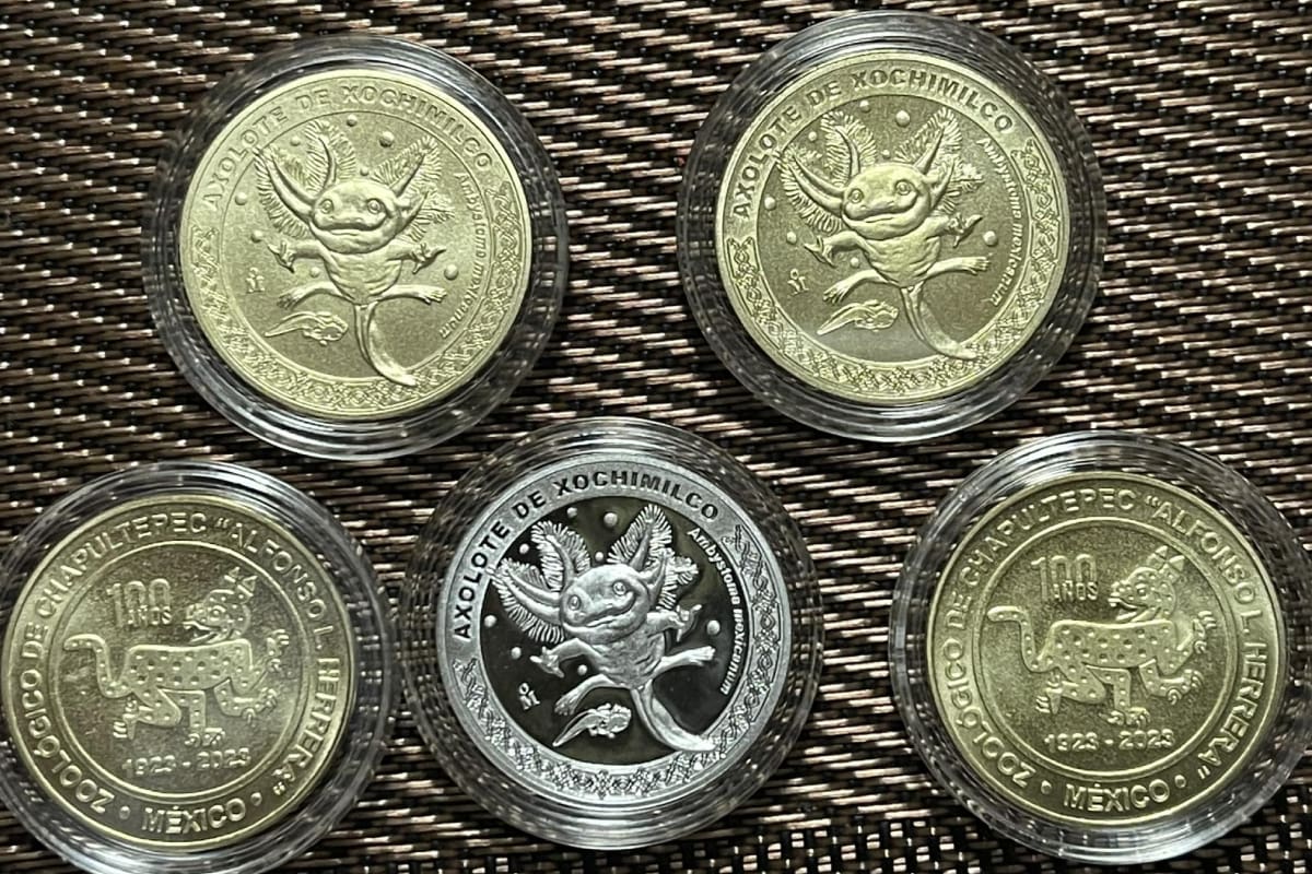 Esta moneda del ajolote complementará tu colección.