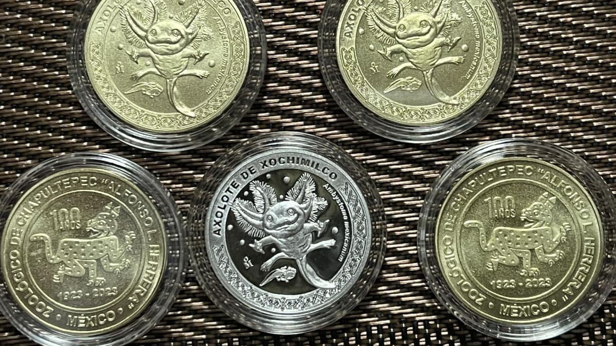 Numismática: En esta fecha saldrán las nuevas monedad del ajolote