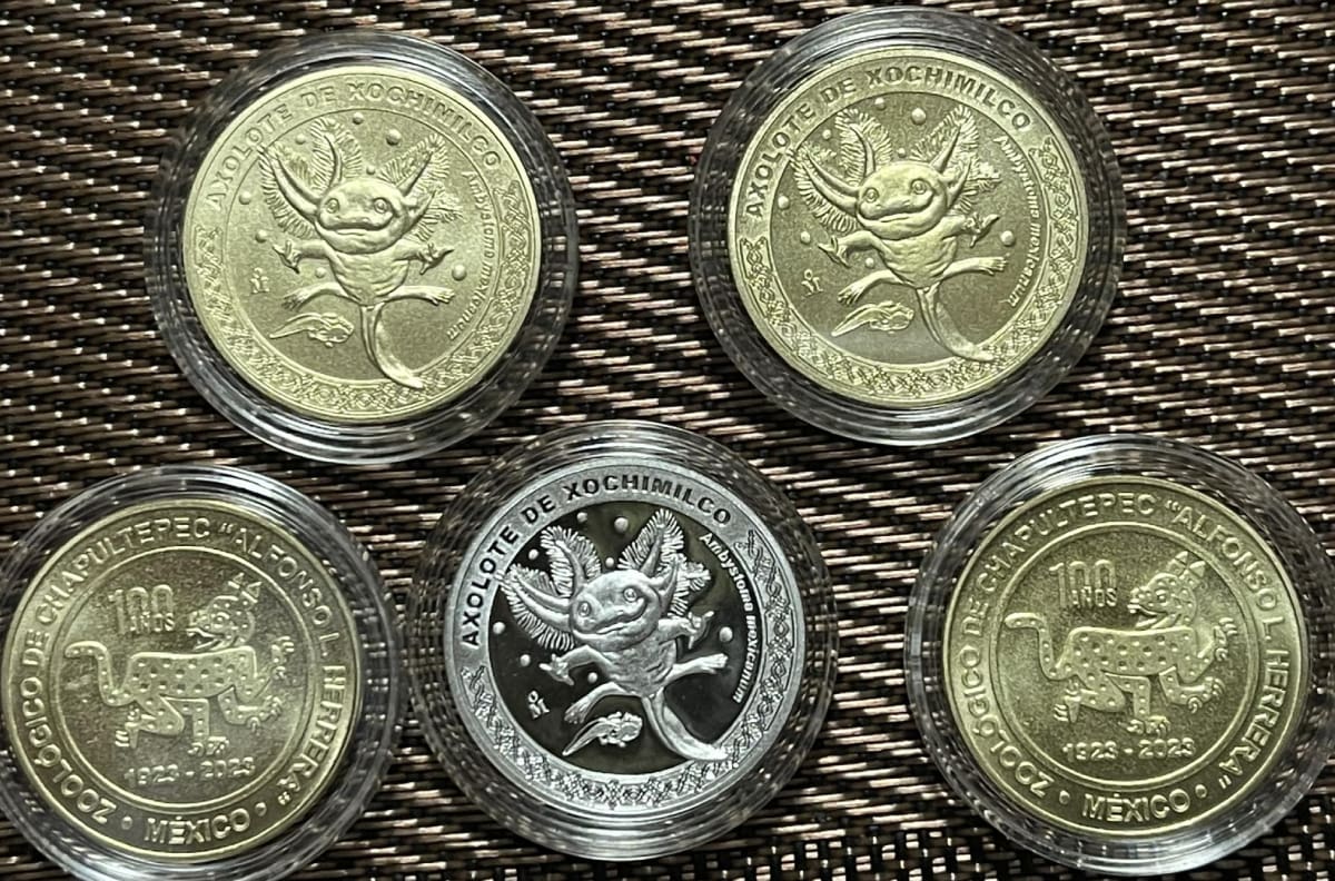 Numismática: En esta fecha saldrán las nuevas monedad del ajolote